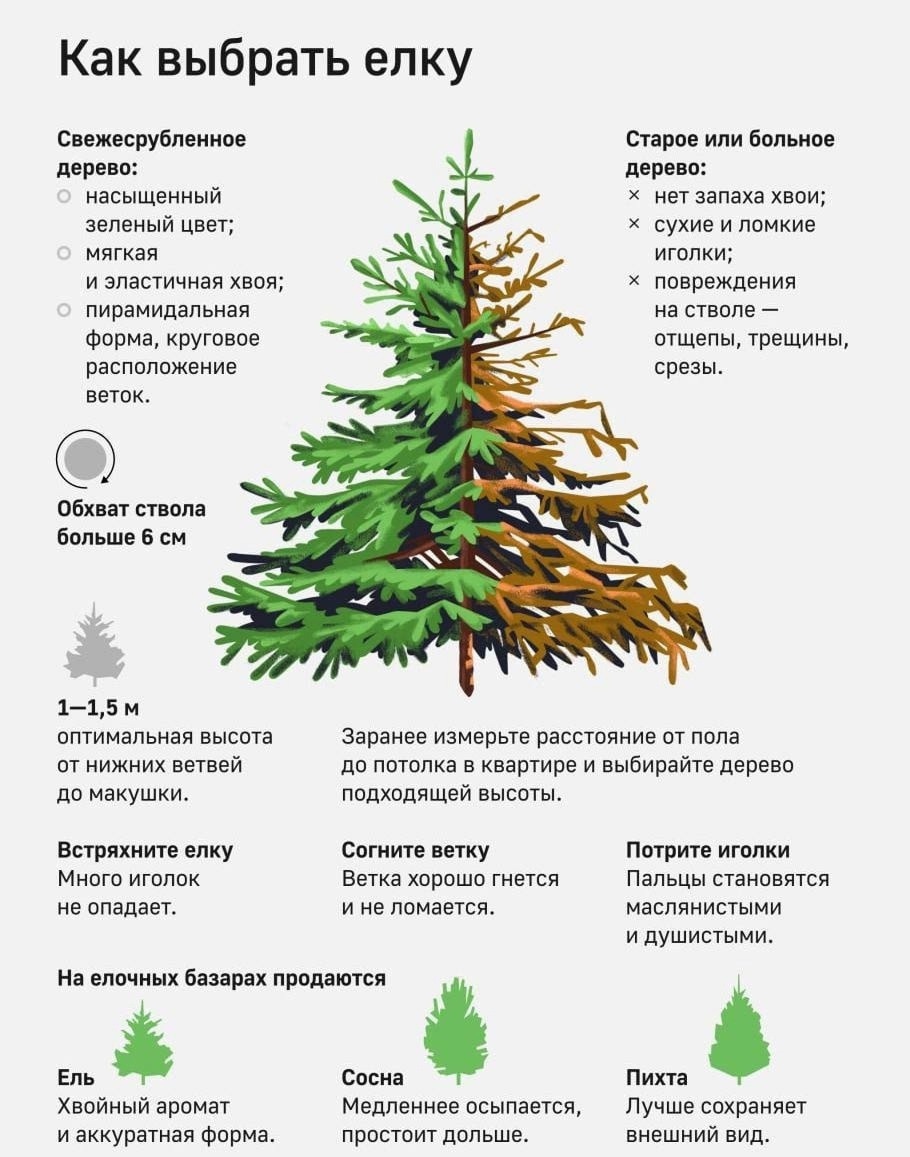 Полезная информация для всех.