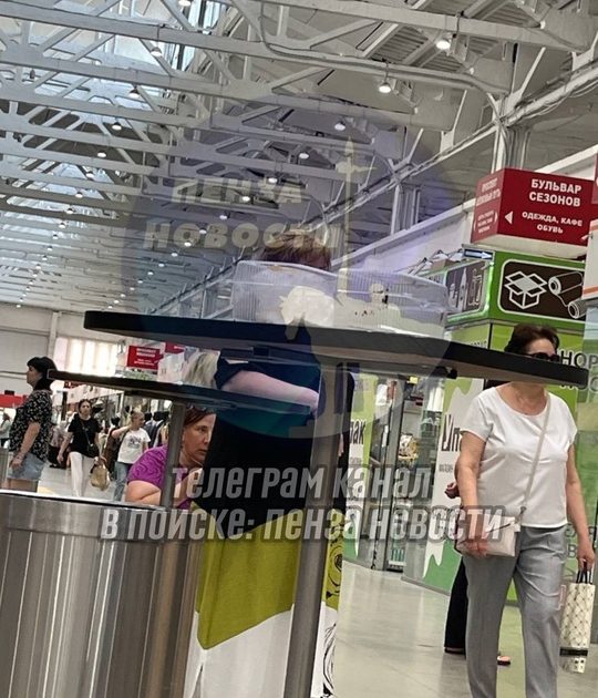 Скандал с рулетами в Санта-Барбаре