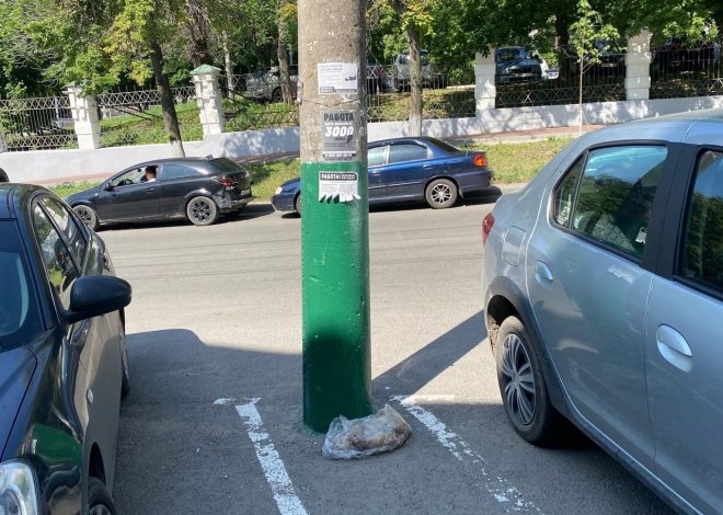 Преступление против животных