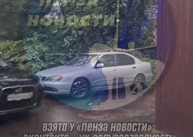 Дерево рухнуло на машину у памятника Победы