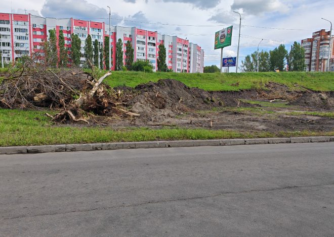 Уничтожение растительности на улице Луначарского!