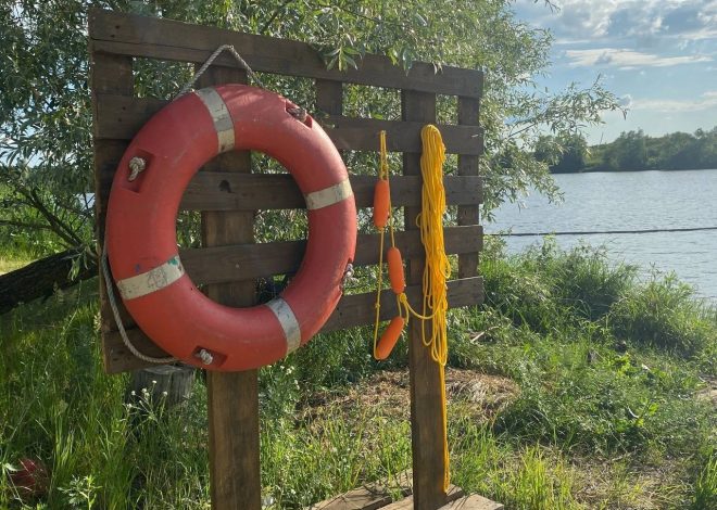 Фекальное загрязнение воды на пляжах Пензенской области