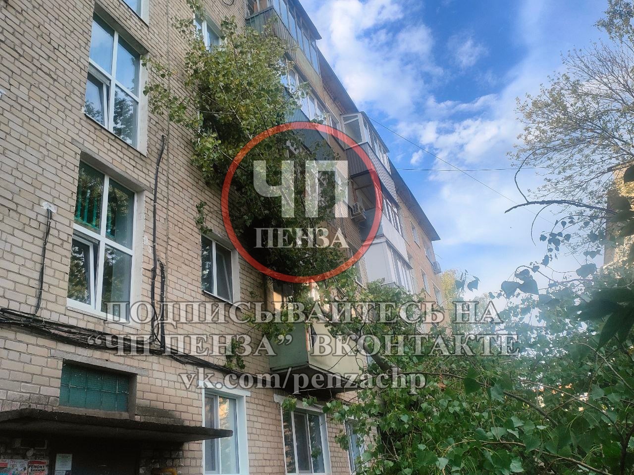 Дерево рухнуло на высотное здание, повредив окна на улице Островского, 6.