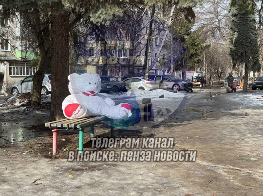 Медведь на скамейке в Пензе