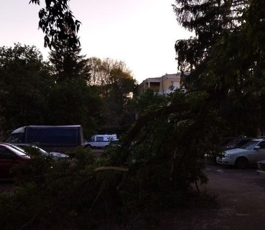 Дерево все еще лежит на стоянке