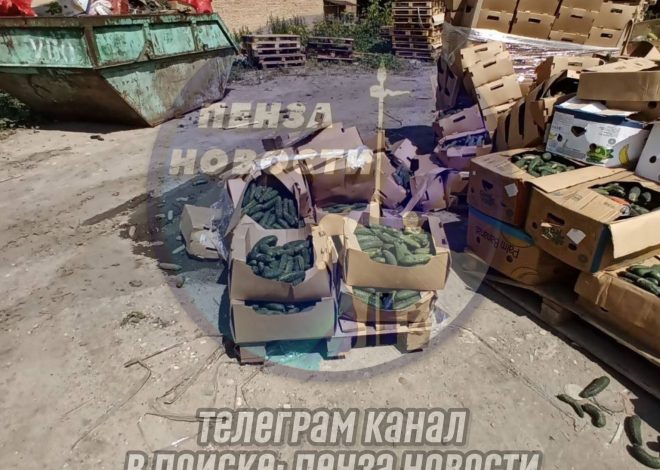 Неожиданная щедрость овощами в Пензе