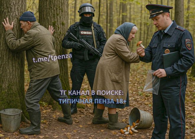 Штрафы для грибников с 10 июля