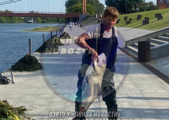 Толстолобик весом в рекордное количество пойман у «Ростка» в Пензе